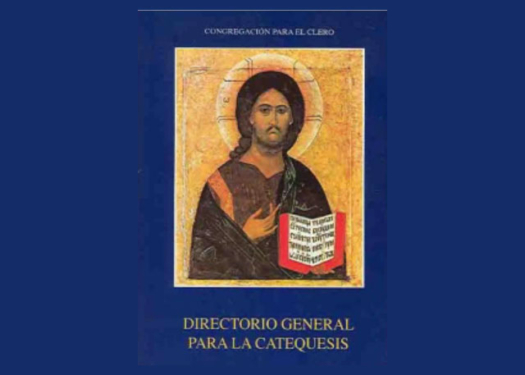 Libro Ebook Directorio General Para La Catequesis Ebooks Católicos 2271